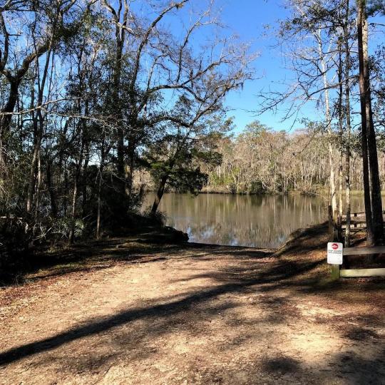 Campground Details - Tate's Hell State Forest Womack Creek Campground ...