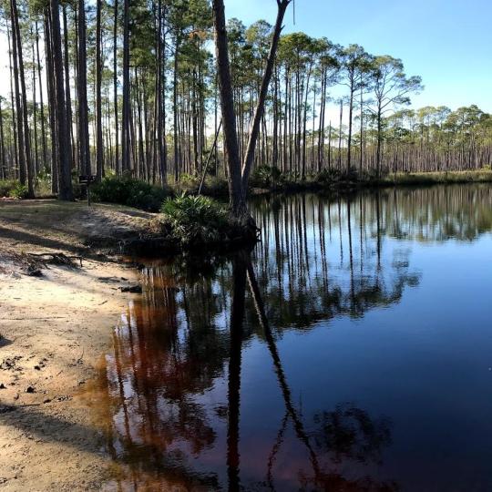 Campground Details - Tate's Hell State Forest Cash Creek Campground, FL ...