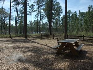 Photo Representing Group Campsites